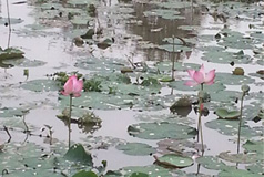 Trãi nghiệm sản phẩm